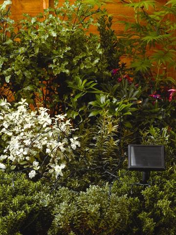 Outdoor Lights Lighting Home Garden Littlewoodsireland Ie Outdoor Lights Lighting Home