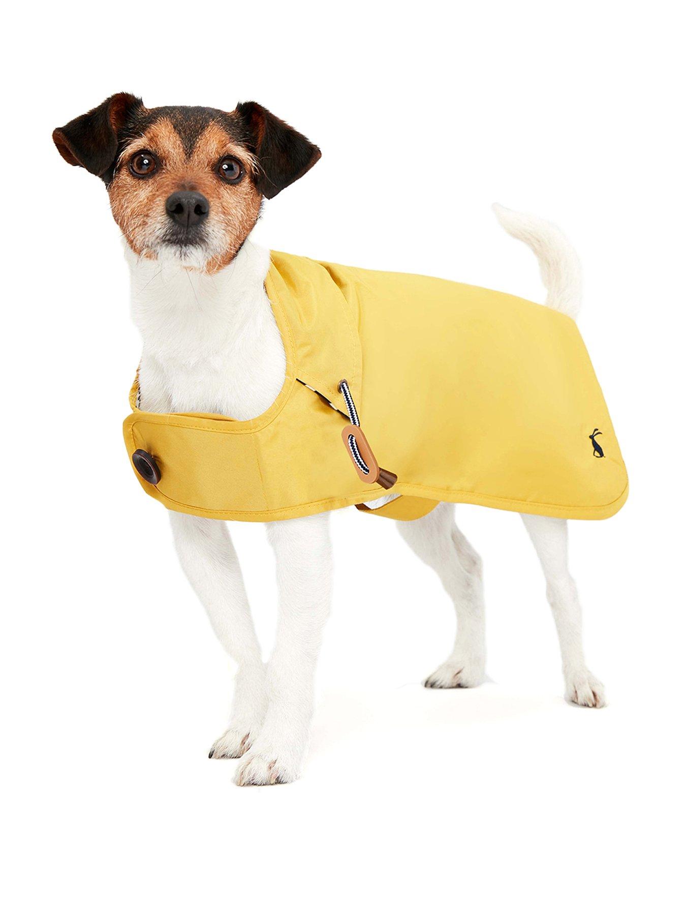 raincoat for beagle
