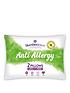 slumberdown-anti-allergy-soft-pillows-ndash-pack-of-2front