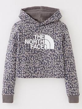 the-north-face-youth-girls-drew-peak-cropped-overhead-hoodie-grey
