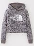 the-north-face-youth-girls-drew-peak-cropped-overhead-hoodie-greyfront