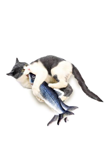 jml-flippity-fish-cat-toy